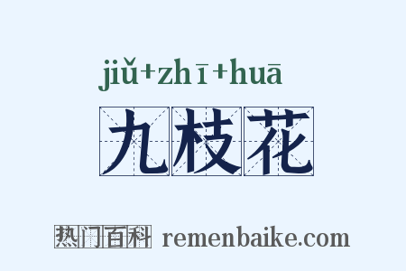 九枝花是什么意思的图片